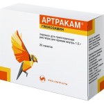 Артракам, порошок для приготовления раствора для приема внутрь 1.5 г /  2.2 г 20 шт пакеты