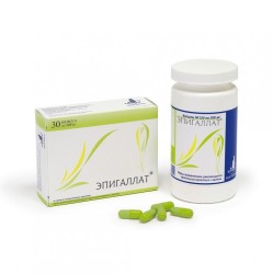 Эпигаллат 120 шт. капс. 500 мг
